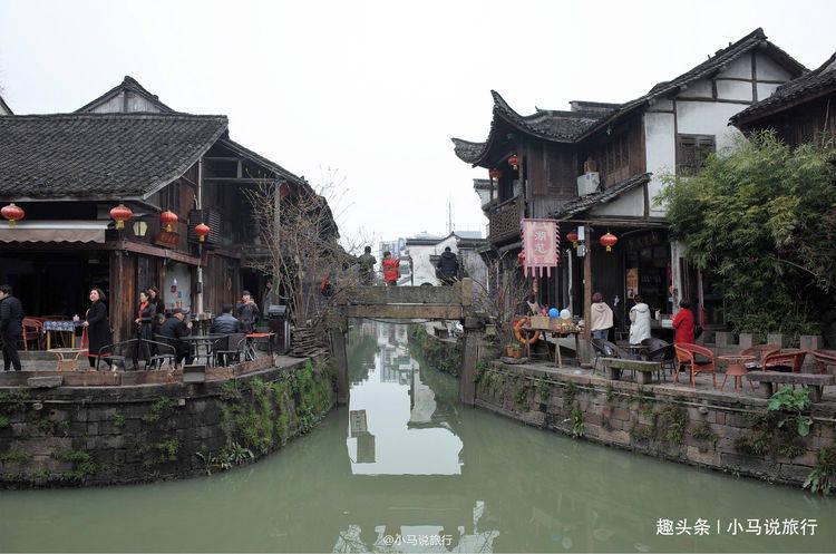 细胞分裂4